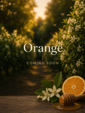 PRE-ORDER | Orange Raw Honey