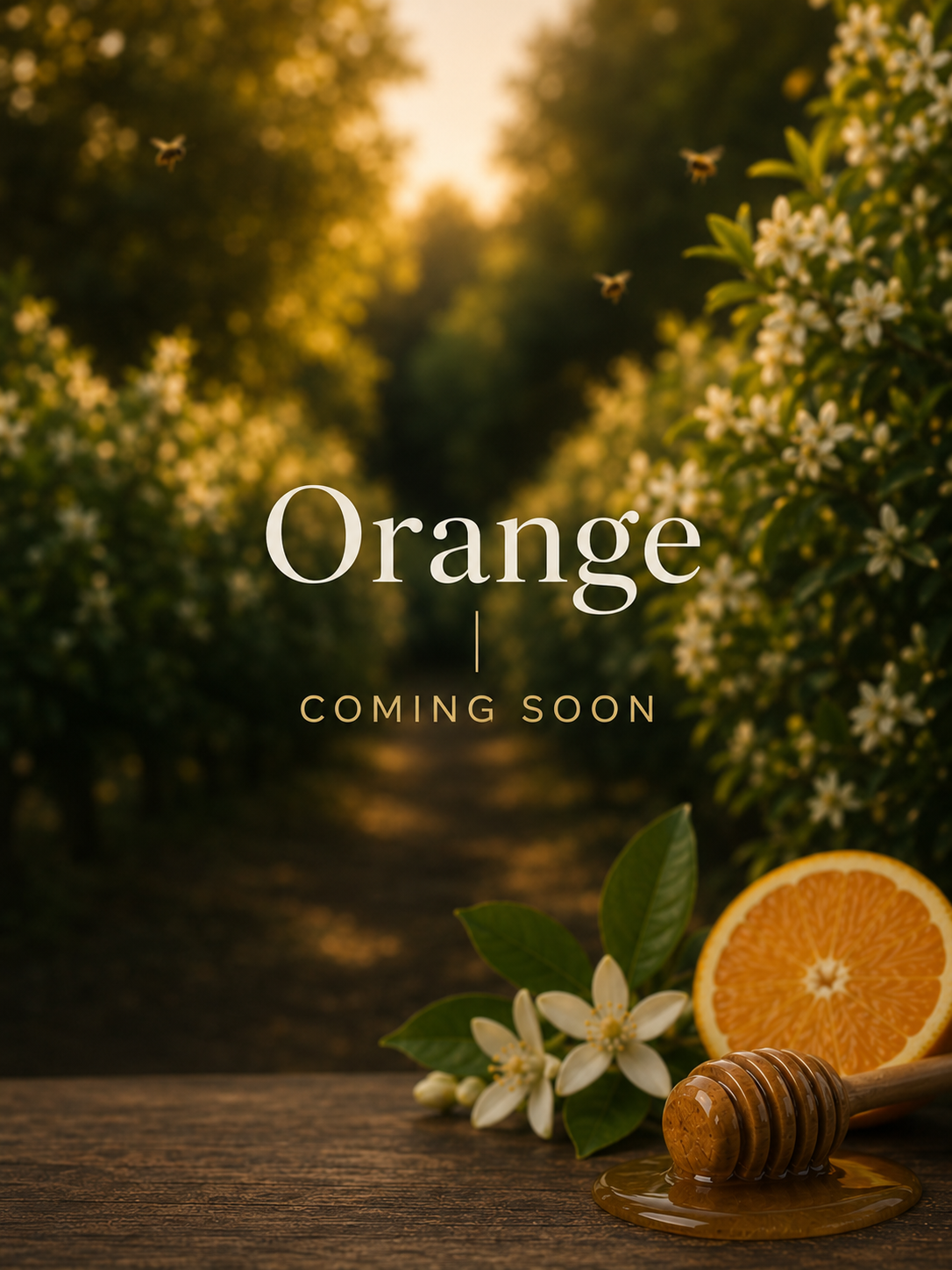 PRE-ORDER | Orange Raw Honey