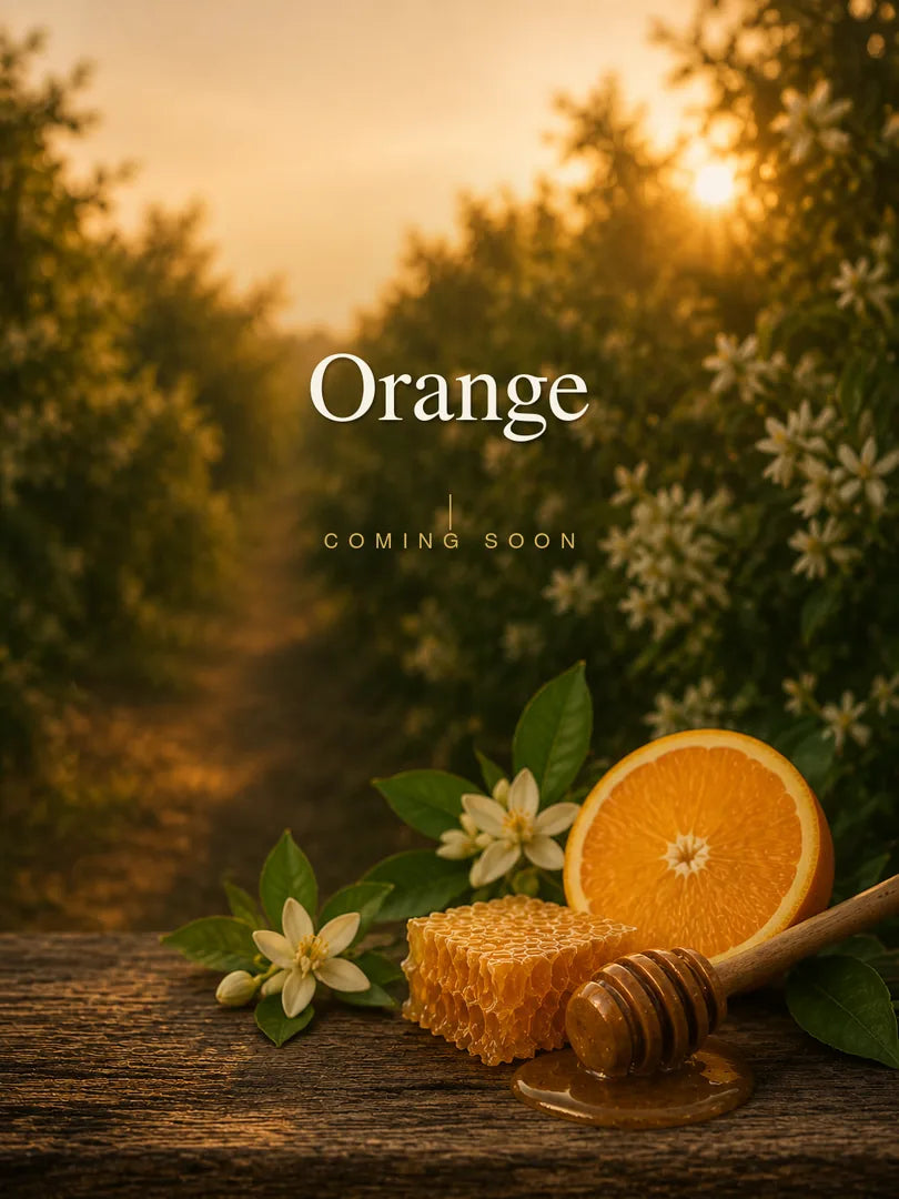 Orange, coming soon. Halved orange, orange blossoms, honeycomb, and a honey dipper on a weathered table in a citrus grove
