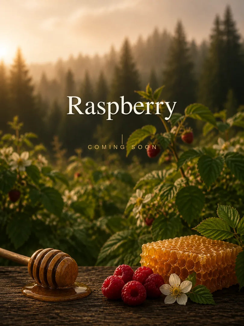 Raspberry, coming soon. Honeycomb, fresh raspberries, and a blossom on a weathered table in front of a raspberry patch