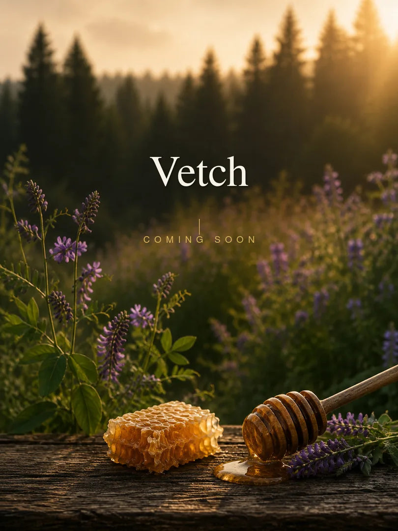 Vetch, coming soon. Honeycomb and a honey dipper on a weathered table surrounded by purple vetch blooms