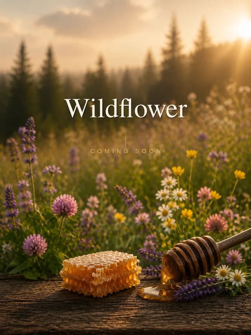 Wildflower, coming soon. Honeycomb and a dripping honey dipper on a weathered table before a meadow of mixed blooms